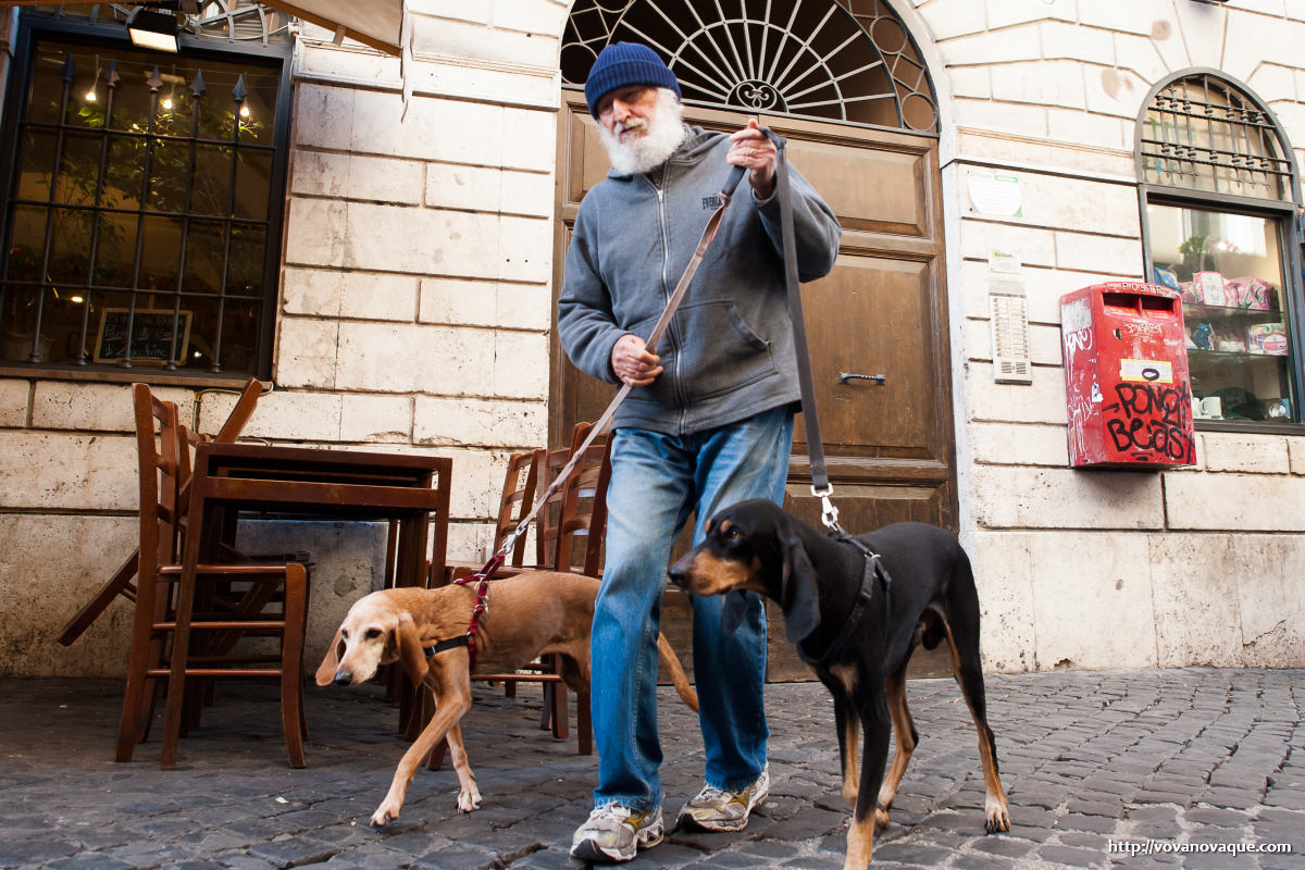 Dogs in Rome