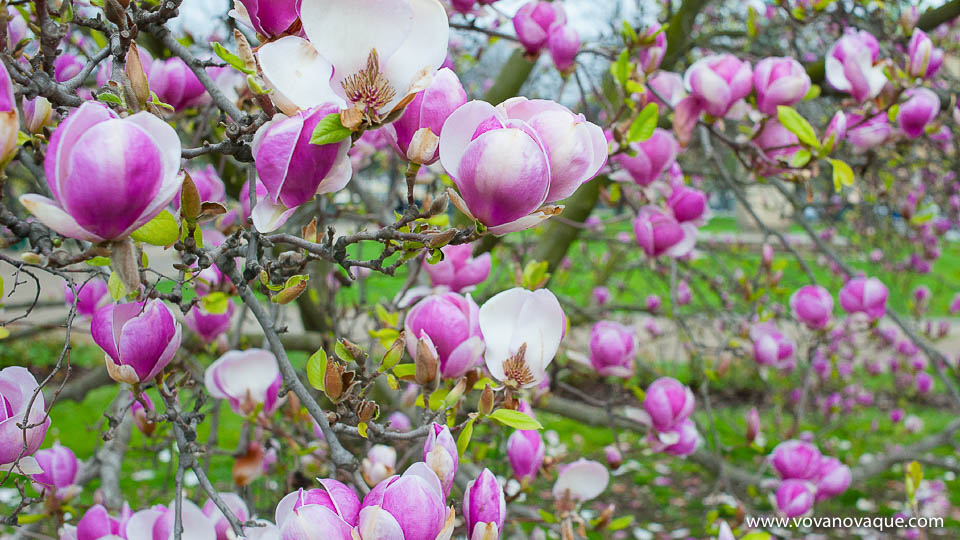 April in Prague