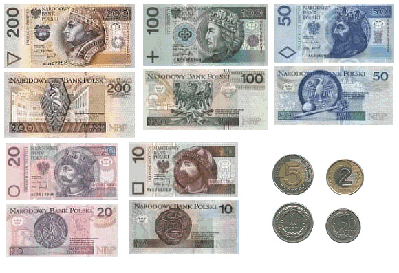 Polish Zloty looks like