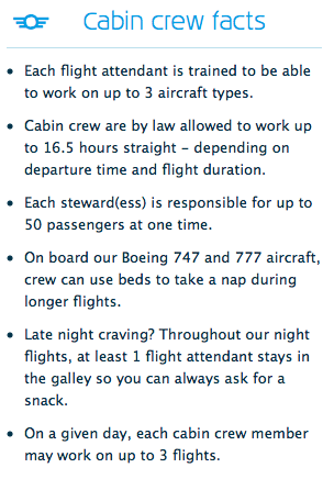 KLM cabin crew facts