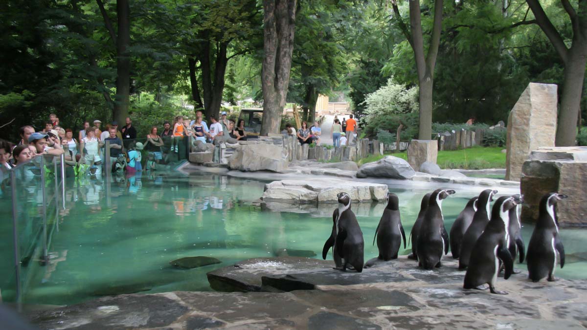 Prague with kids - zoo prague