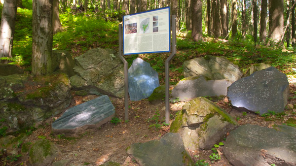 Mariánské Lázně Geological Park
