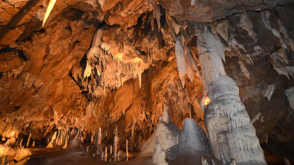 Moravian Karst Sloupsko-šošůvské Caves